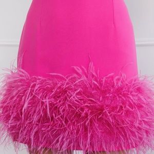 Nadine Merabi Pink Skirt